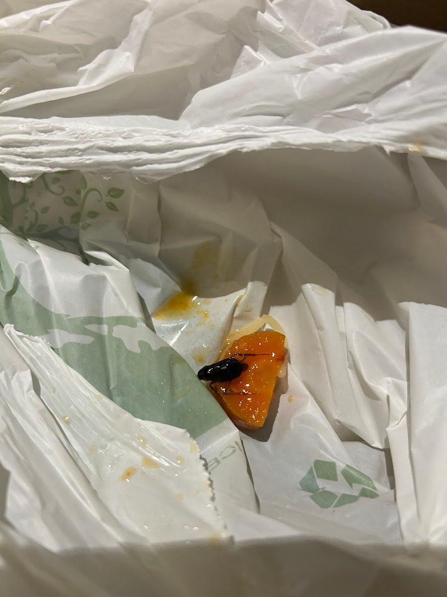 Mata middle eastern cuisine