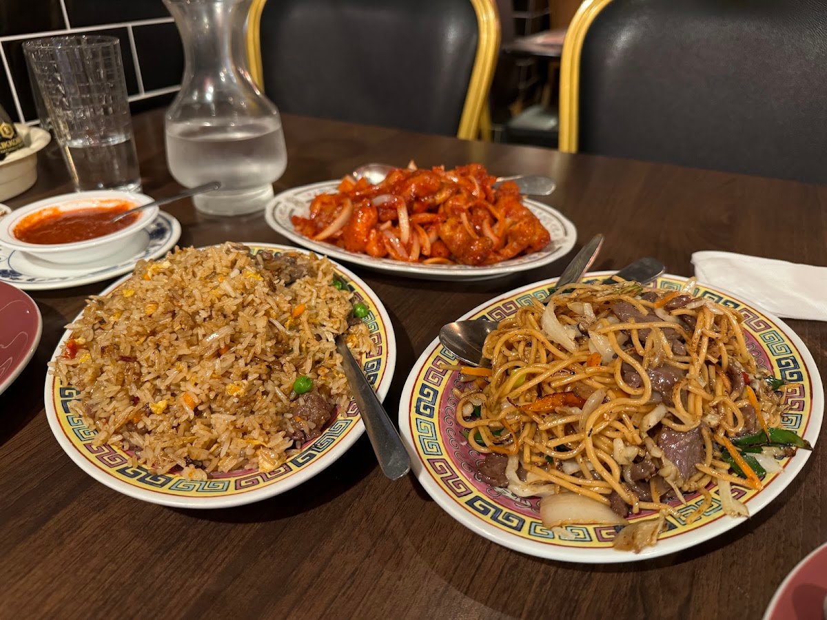 Dragon House Indian Chinese Halal Restaurant