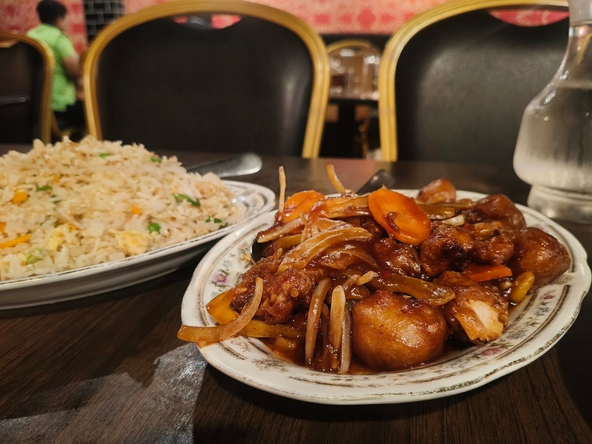 Dragon House Indian Chinese Halal Restaurant