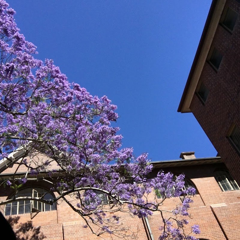 Old Teachers College