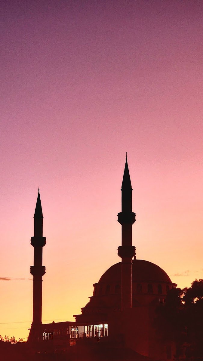 Auburn Gallipoli Mosque