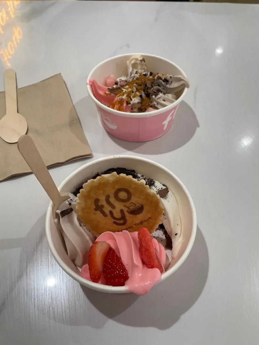 FroYo Frozen Yoghurt and Acai