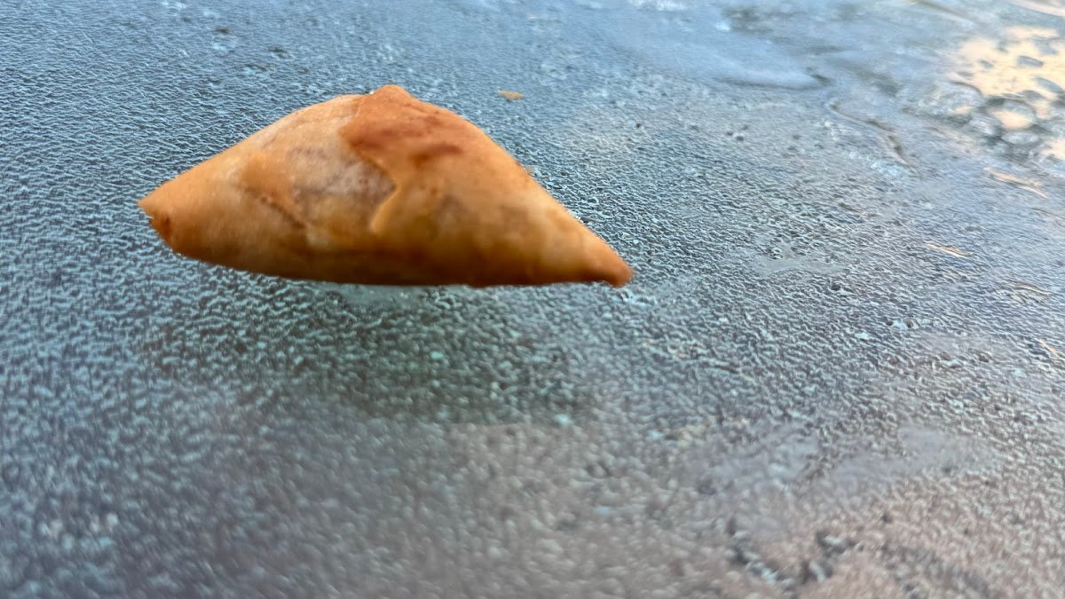 Samosa Near Me Australias Top 10 Leading Halal Nonveg food Manufacturer By Female